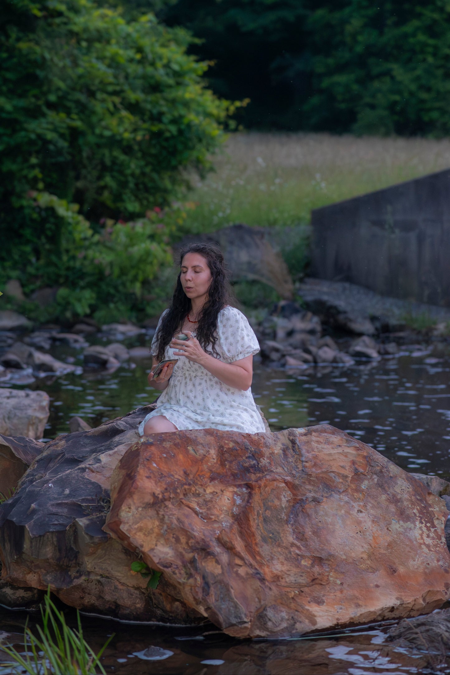 Mediumship/Akashic Records Reading